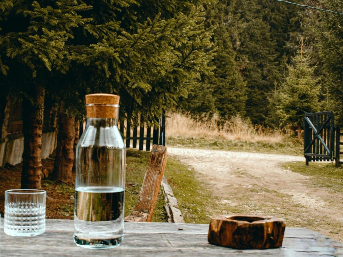 Laptici - Statiunea Pestera-padina, Bucegi Sinaia