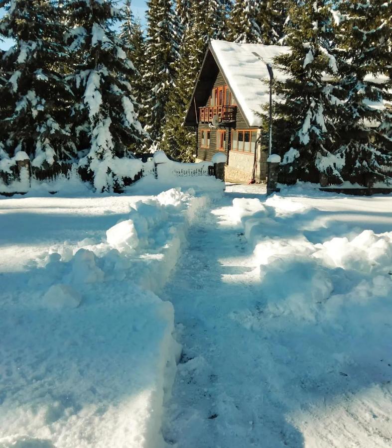 Cabană Laptici - Statiunea Pestera-padina, Bucegi Sinaia