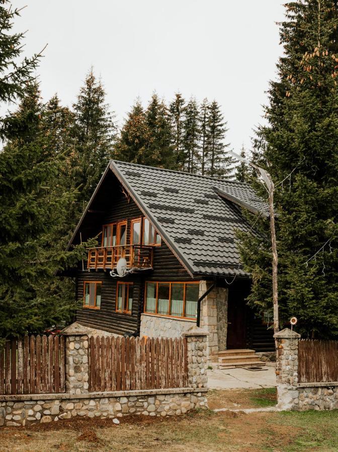 Laptici - Statiunea Pestera-padina, Bucegi *