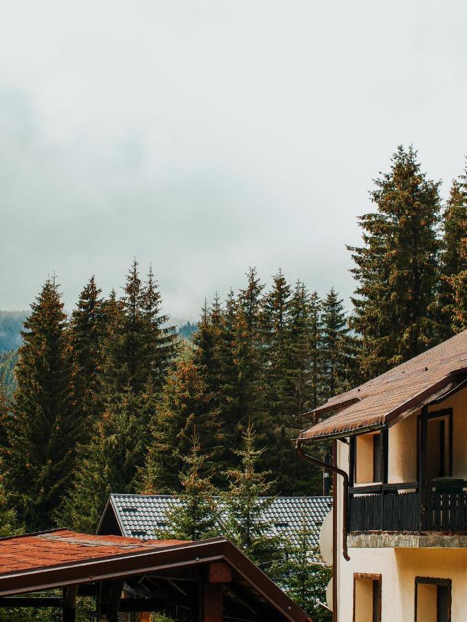 Laptici - Statiunea Pestera-padina, Bucegi *