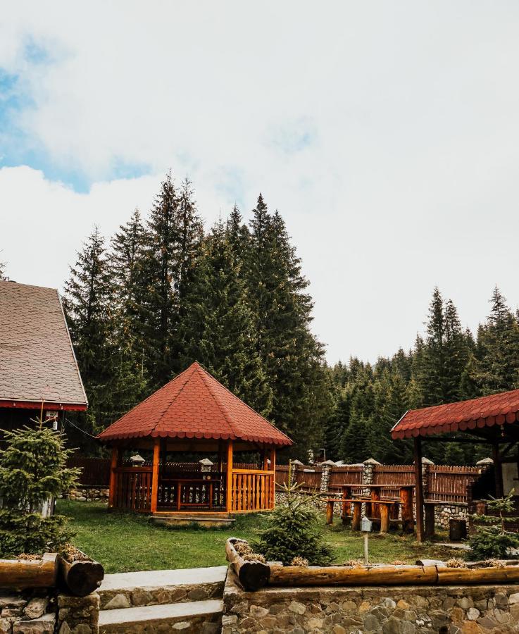 Cabană Laptici - Statiunea Pestera-padina, Bucegi