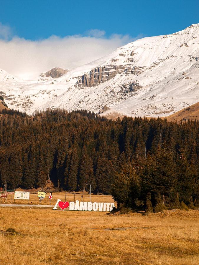 Laptici - Statiunea Pestera-padina, Bucegi * Sinaia