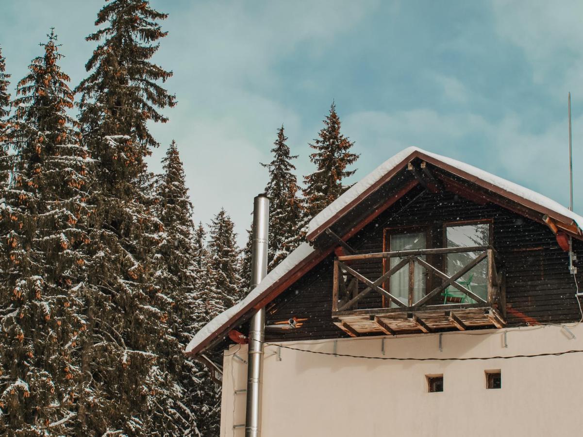 Laptici - Statiunea Pestera-padina, Bucegi *