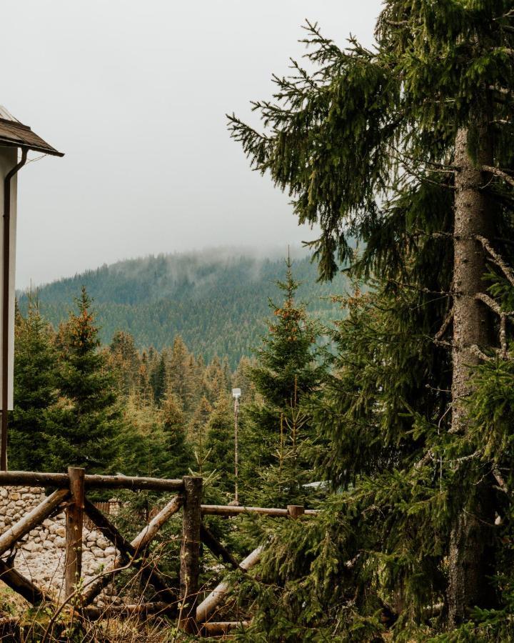 Laptici - Statiunea Pestera-padina, Bucegi Cabană Sinaia