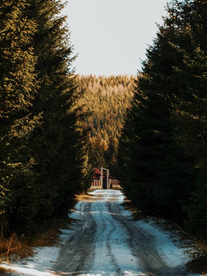 Laptici - Statiunea Pestera-padina, Bucegi Cabană