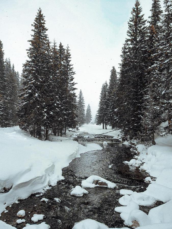 Cabană Laptici - Statiunea Pestera-padina, Bucegi