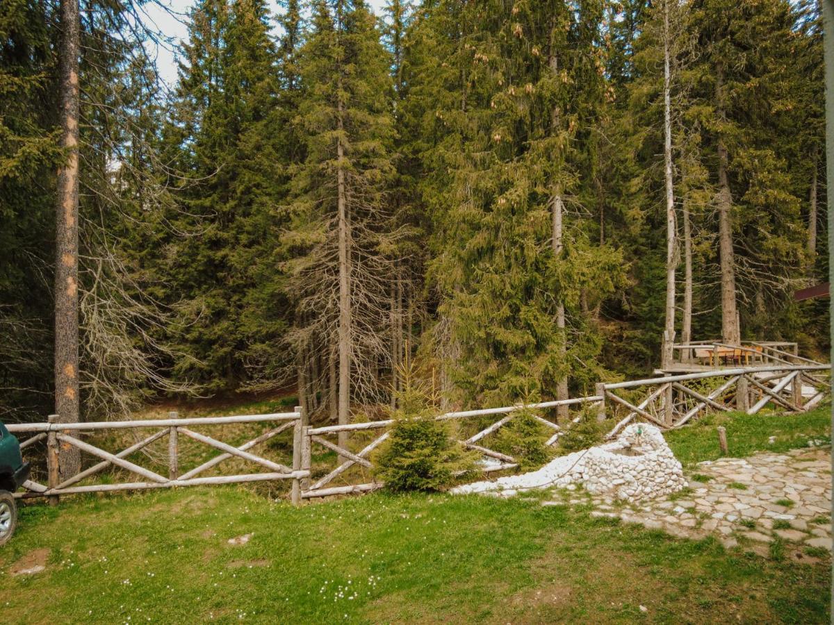 Laptici - Statiunea Pestera-padina, Bucegi