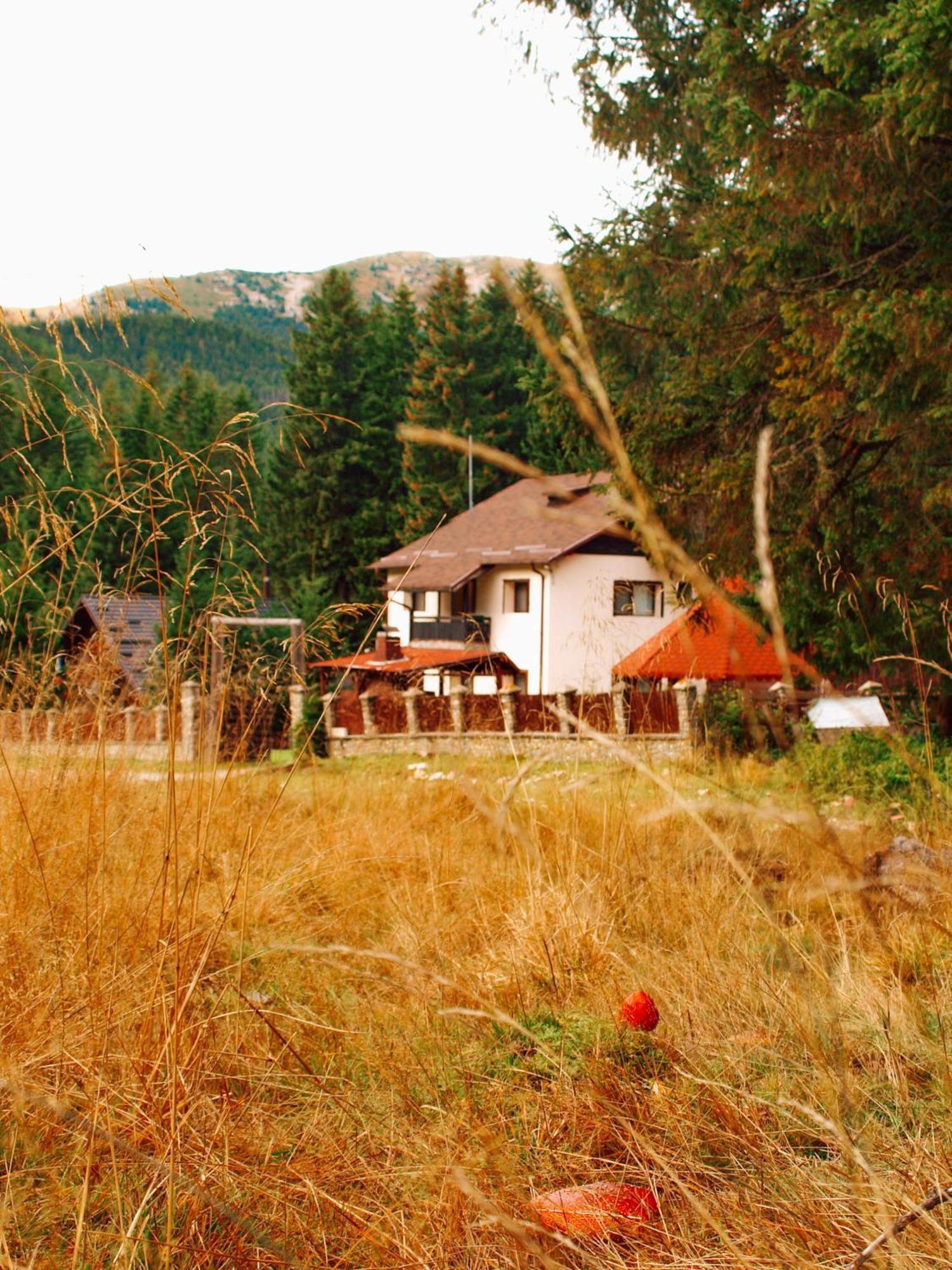 Lodge Mounthoff Retreat *