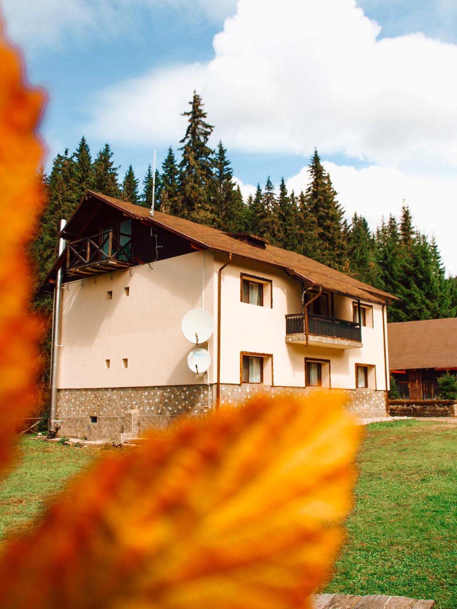 Laptici - Statiunea Pestera-padina, Bucegi *